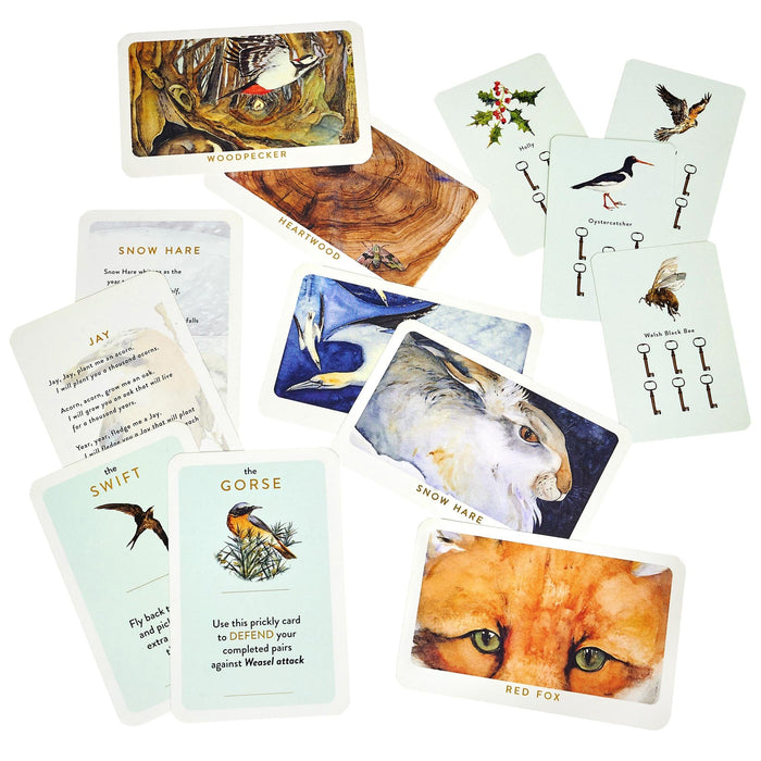 Brain Games LV galda spēles The Lost Spells Card Game