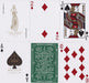 Brain Games LV THEORY11 GREEN MONARCHS