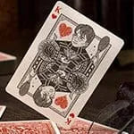 Brain Games LV galda spēles THEORY11 HARRY POTTER DECK - RED (GRYFFINDOR)