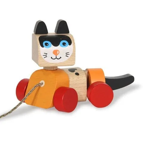 Brain Games LV Walk-A-Long Cat