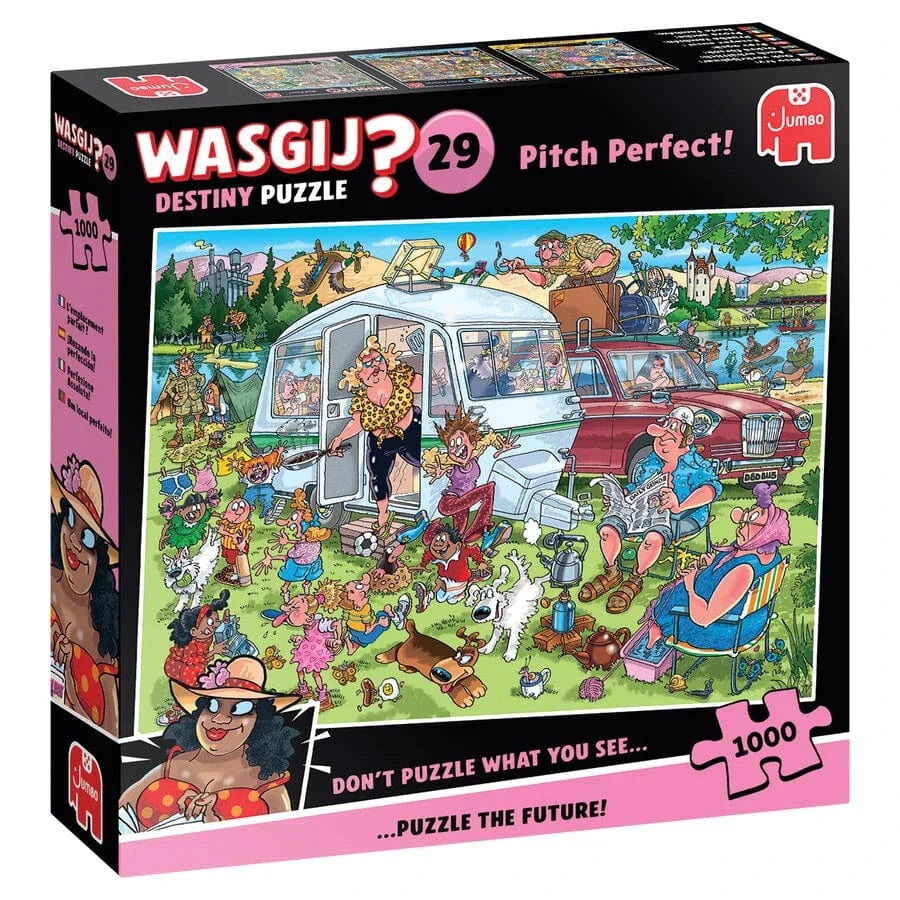 Brain Games LV Wasgij Destiny 29 - Pitch Perfect! (1000 pieces)