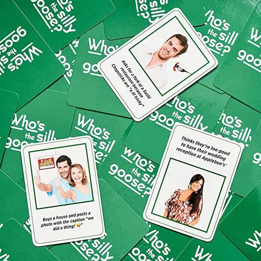 Brain Games LV n/a Who's The Silly Goose