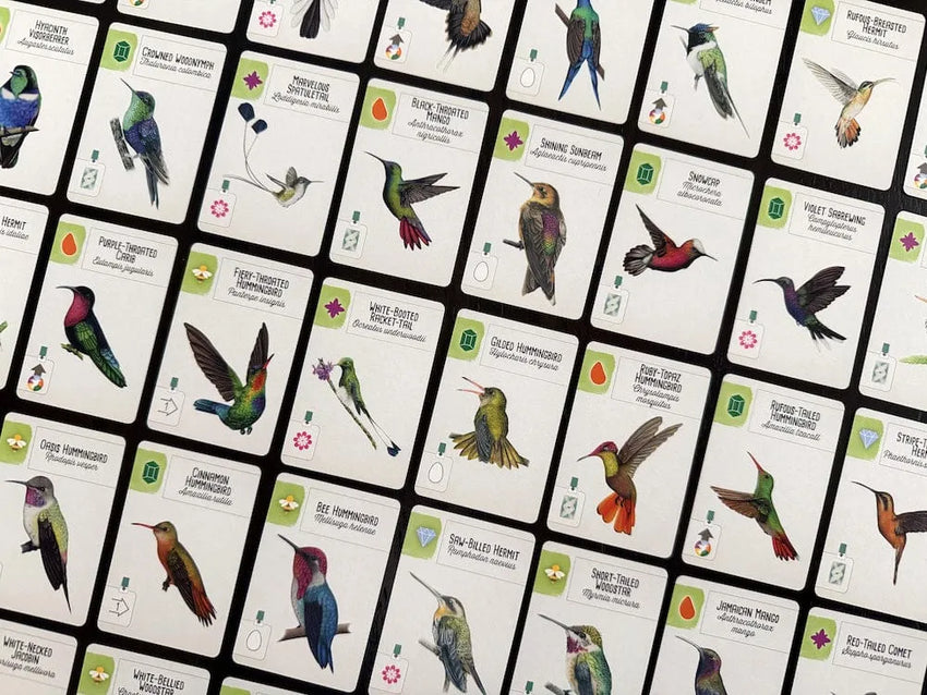 Brain Games LV Pre-Order Wingspan Americas (paplašinājums)