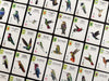 Brain Games LV Pre-Order Wingspan Americas (paplašinājums)