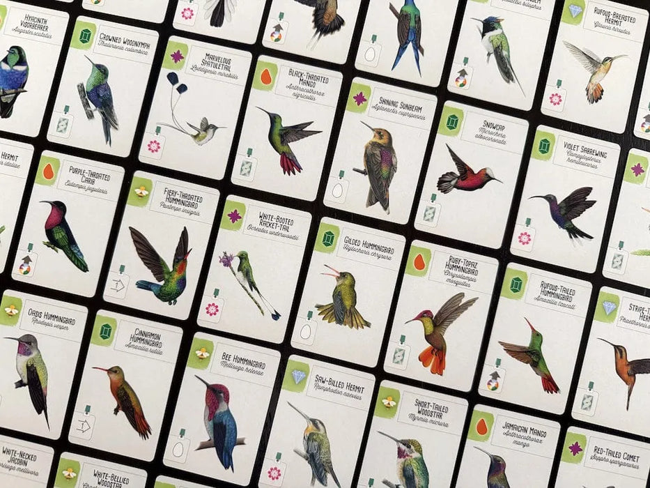 Brain Games LV Pre-Order Wingspan Americas (paplašinājums)