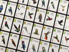 Brain Games LV Pre-Order Wingspan Americas (paplašinājums)