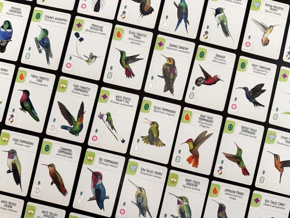 Brain Games LV Pre-Order Wingspan Americas (paplašinājums)