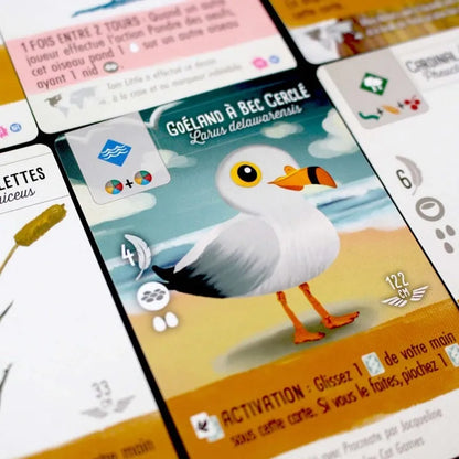 n/a Wingspan Fan Art Pack (paplašinājums)