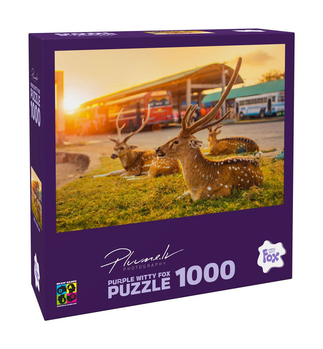 Purple Witty Fox 1000 Puzzle Martin Plum, Sri Lanka, Trincomalee 