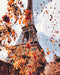 PBN classic - Autumn in Paris