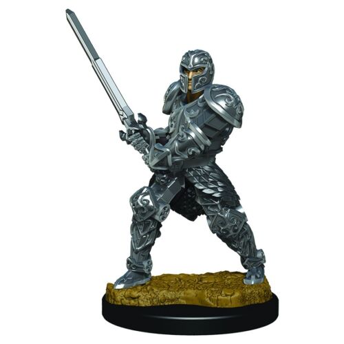 D&amp;D Icons Male Human Fighter Fig.